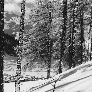 Hotel Livigno 3* Ливиньо